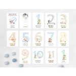 Fiú baba mérföldkő kártya