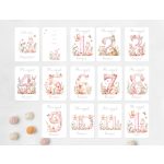 Baba mérföldkő kártya - pink